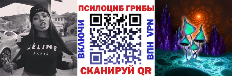что такое наркотик  Прокопьевск  KRAKEN рабочий сайт  Псилоцибиновые грибы Psilocybine cubensis 
